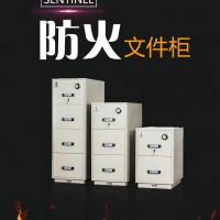 泰格FRD-II-4X 公司文件保险柜 防火安全资料柜 图书档案资料防火安全柜 泰格防火柜